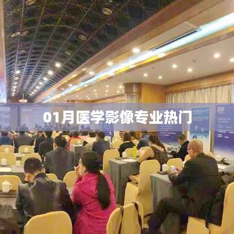 新闻动态 第297页