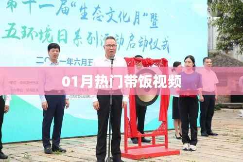 热门带饭视频来袭,一月精选不容错过