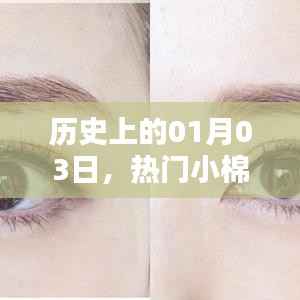 热门小棉花的历史时刻，一月三日回顾