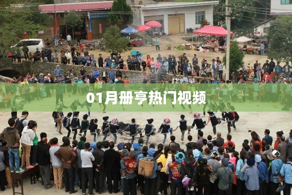 册亨热门视频精选,一月精彩回顾