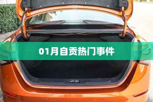 自贡热点事件回顾,一月大事件盘点