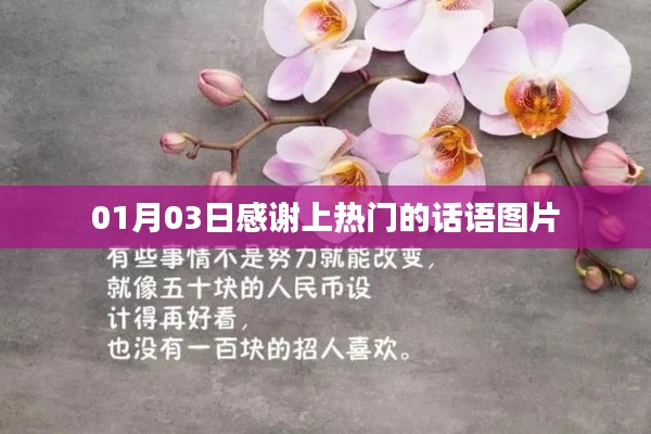 感谢上热门话语图片分享,温暖心灵瞬间