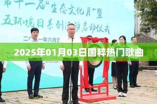 国粹经典,2025年热门歌曲回顾