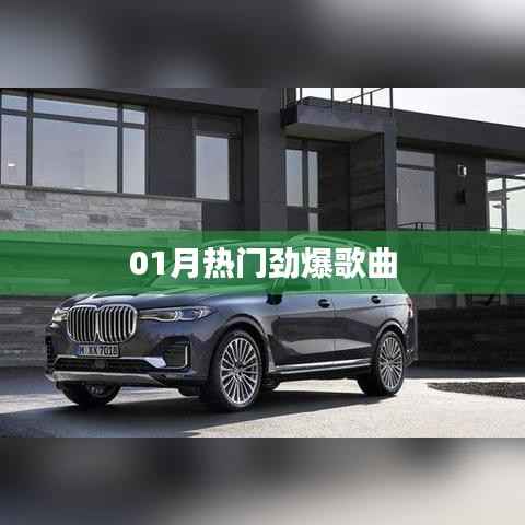 01月热门歌曲盘点