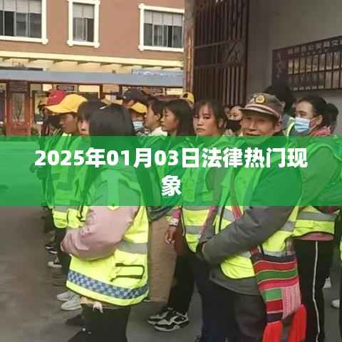 法律热点现象解析,聚焦法律前沿,洞悉未来趋势