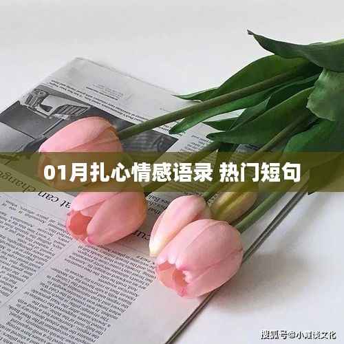 精选扎心情感语录，热门短句触动心灵瞬间