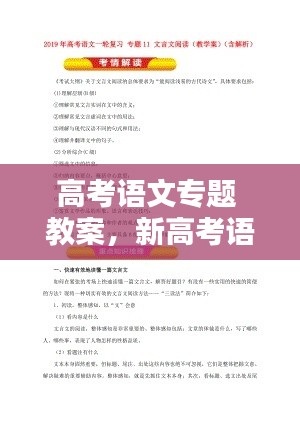 高考语文专题 教案，新高考语文教案 
