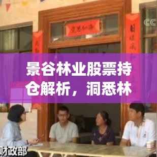 景谷林业股票持仓解析,洞悉林业投资潜力与风险