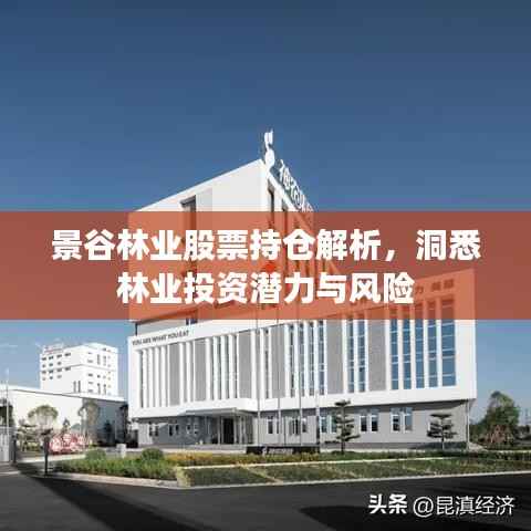 景谷林业股票持仓解析,洞悉林业投资潜力与风险