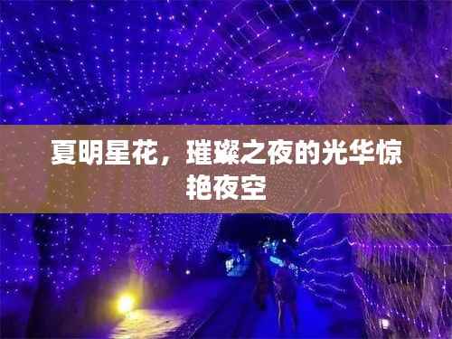 夏明星花,璀璨之夜的光华惊艳夜空