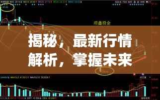 揭秘,最新行情解析,掌握未来趋势——关于15202st的全面解读