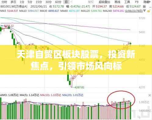 天津自贸区板块股票,投资新焦点,引领市场风向标