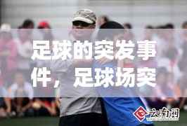 足球的突发事件,足球场突发事件