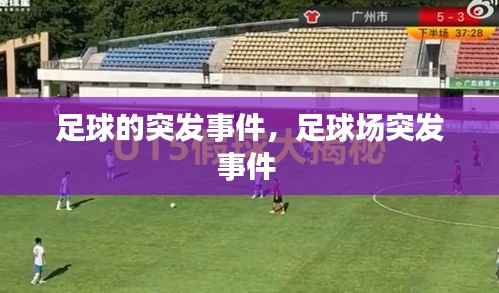 足球的突发事件,足球场突发事件