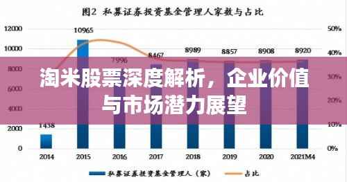 淘米股票深度解析,企业价值与市场潜力展望