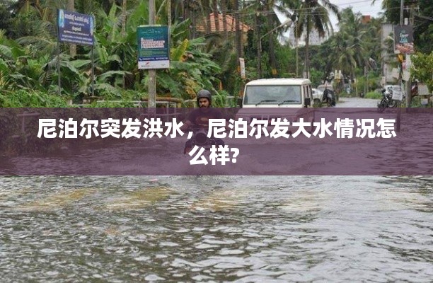 尼泊尔突发洪水,尼泊尔发大水情况怎么样?