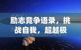 励志竞争语录,挑战自我,超越极限,成就非凡人生!