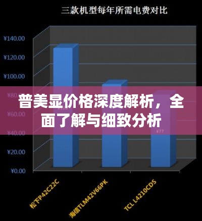 普美显价格深度解析,全面了解与细致分析