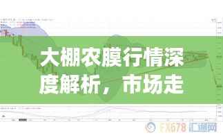 大棚农膜行情深度解析,市场走势、价格及影响因素全揭秘