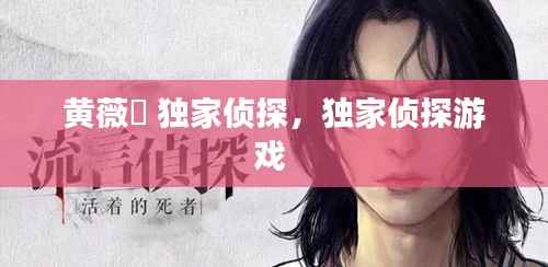 黄薇渟 独家侦探,独家侦探游戏