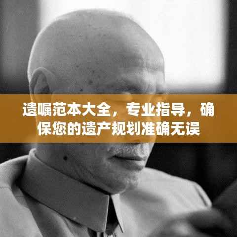 遗嘱范本大全,专业指导,确保您的遗产规划准确无误