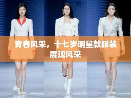 青春风采,十七岁明星款服装展现风采