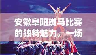 安徽阜阳斑马比赛的独特魅力,一场别开生面的竞技盛宴
