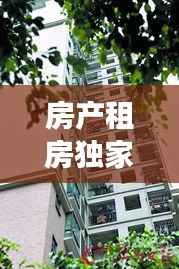 房产租房独家代理，房屋独家代理合同有效吗 