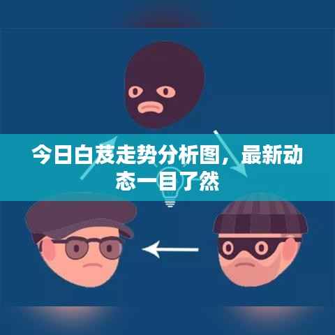 今日白芨走势分析图,最新动态一目了然