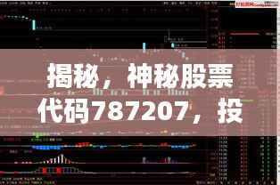 揭秘,神秘股票代码787207,投资机会还是风险警示?