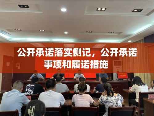 公开承诺落实侧记,公开承诺事项和履诺措施