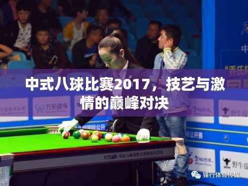中式八球比赛2017,技艺与激情的巅峰对决