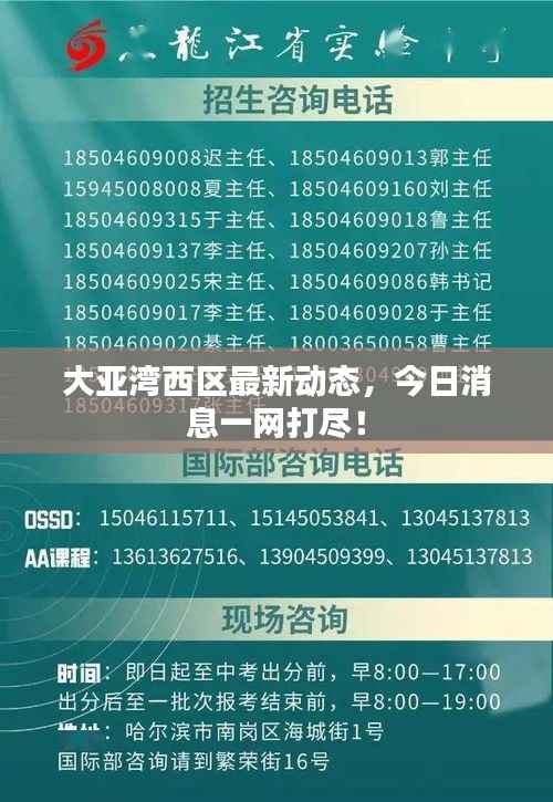 大亚湾西区最新动态,今日消息一网打尽!