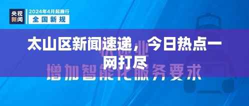 太山区新闻速递,今日热点一网打尽