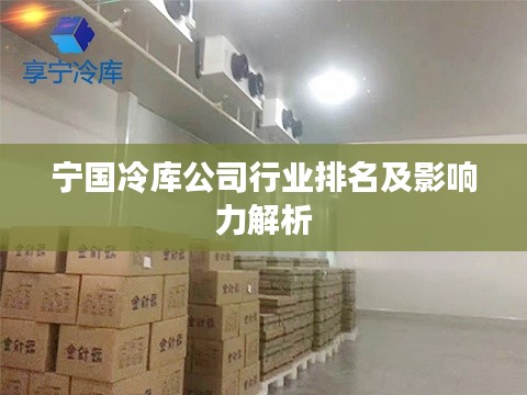 宁国冷库公司行业排名及影响力解析