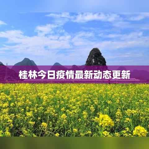 桂林今日疫情最新动态更新