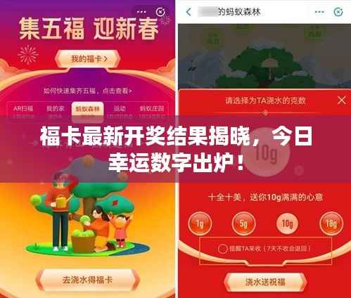 福卡最新开奖结果揭晓,今日幸运数字出炉!