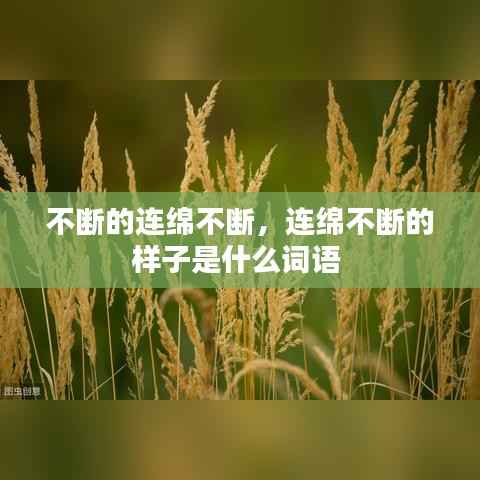 不断的连绵不断,连绵不断的样子是什么词语
