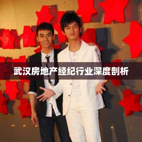 武汉房地产经纪行业深度剖析