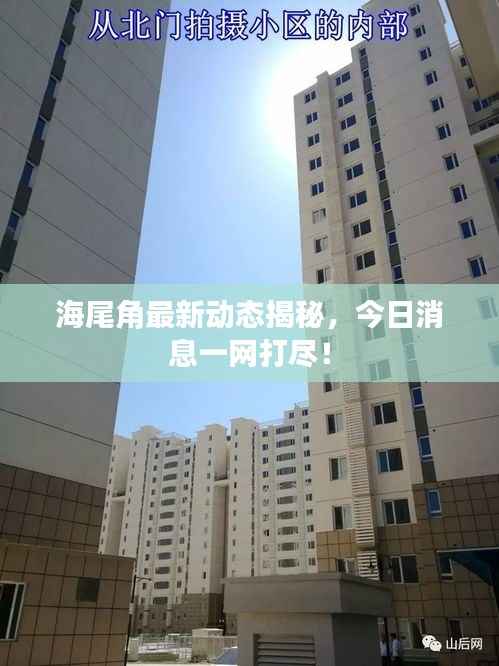 海尾角最新动态揭秘,今日消息一网打尽!