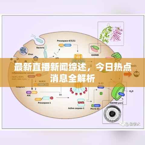 最新直播新闻综述，今日热点消息全解析