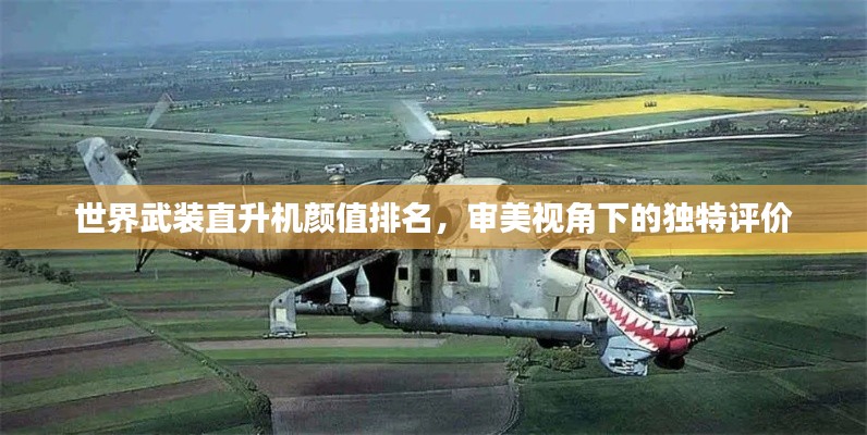 世界武装直升机颜值排名,审美视角下的独特评价