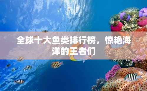 鸟飞兔走 第3页