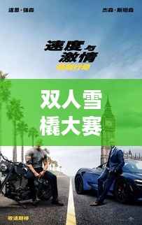 双人雪橇大赛,速度与激情的极致对决!