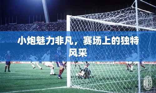 小炮魅力非凡,赛场上的独特风采