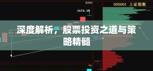 深度解析,股票投资之道与策略精髓