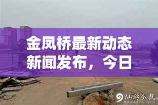 金凤桥最新动态新闻发布，今日消息一网打尽！