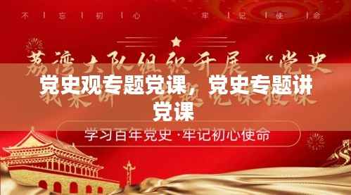 党史观专题党课,党史专题讲党课