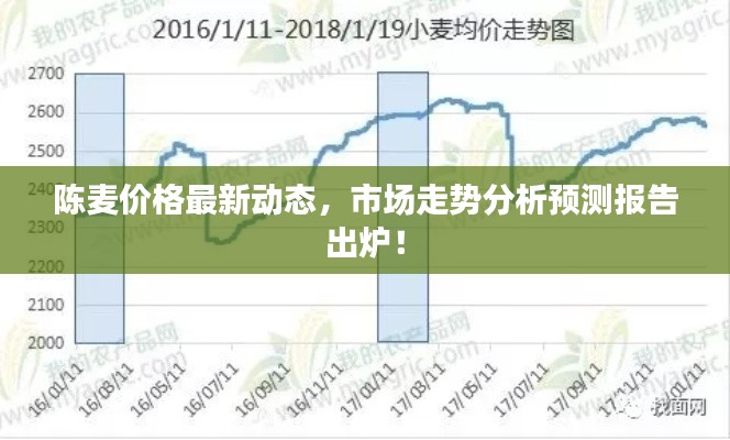 陈麦价格最新动态,市场走势分析预测报告出炉!