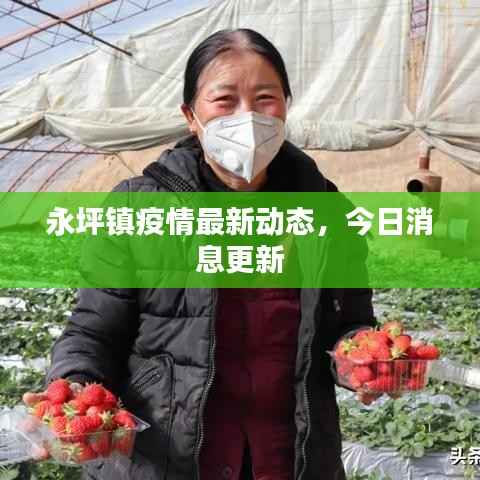 永坪镇疫情最新动态,今日消息更新